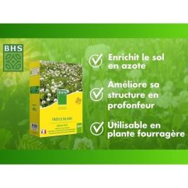 BHS AUC3366670500323 Trébol Blanco - Semillas para 500 m² - Favorece la Biodiversidad, Adaptable a Todo Tipo de Suelos y Resiste Pisoteo BHS AUC3366670500323 Trébol Blanco - Semillas para 500 m² - Favorece la Biodiversidad, Adaptable a Todo Tipo de Suelos y Resiste Pisoteo