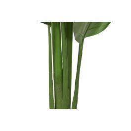 DKD Home Decor Planta Verde 180 cm Alto x 60 cm Ancho x 60 cm Fondo (2 Unidades)