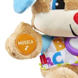 Perrito Primeros Descubrimientos Fpm53 Fisher Price Perrito Primeros Descubrimientos Fpm53 Fisher Price