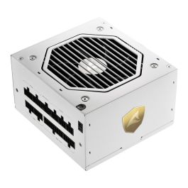 Sharkoon Rebel P20 Fuente de Alimentación 850W ATX 3.1 Cybenetics Gold ATX Blanco