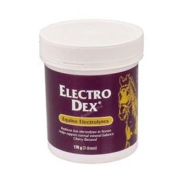 VETNOVA VET Electro Dex Mini 170 G Sales Solubles Vet Precio: 13.8900003. SKU: B12ZTNDKP2