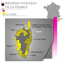 Muscadellu - Muscat corsicano brillante