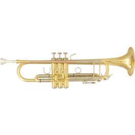 SML Trompeta Sib Tp500 Latón Lacado Tonalidad Sib Precio: 285.68999998. SKU: B1APDNESRY