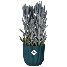 Elho ELH8711904481278 Maceta Redonda Vibes para Flores y Plantas de Plástico Ø22 cm Azul Oscuro