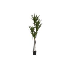 Planta Decorativa DKD Home Decor (80 x 80 x 180 cm) Precio: 183.50000053. SKU: S3042191