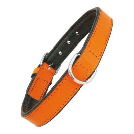 Collar Piel Acolchado 40 cm X 20 mm Naranja Precio: 7.49999987. SKU: S6100746