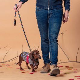 Cerdá Impermeable Ajustable para Perro Marvel Capitán América Avengers Talla M Rojo Cerdá Impermeable Ajustable para Perro Marvel Capitán América Avengers Talla M Rojo