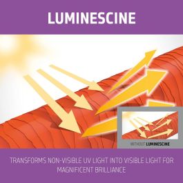 Champú Goldwell Blondes Highlights