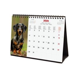 Calendario (2026) Finocam Internacional Sobremesa Imagenes Mensual Para Escribir S 210X150 Dogs Precio: 6.50000021. SKU: B1DBDPLSSY