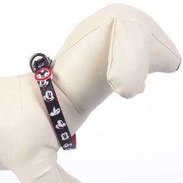 Collar premium para perros XXS/XS mickey t1XXS:XXS/XS Collar premium para perros XXS/XS mickey t1XXS:XXS/XS