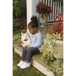 Petsafe Pcf-1000-20 Valla Electrónica Invisible Anti-Runaway para gatos de más de 2,7 kg y 6 meses con avisos sonoros