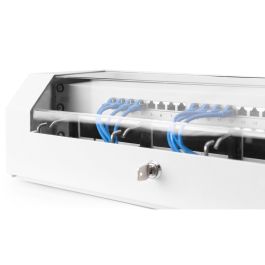 Digitus Caja Mural SOHO Slim 3U para rack 19" 145x500x475 mm Gris