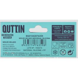 Quttin Molde Helado Individual Silicona 6,5 x 3 x 14 cm (36 Unidades)