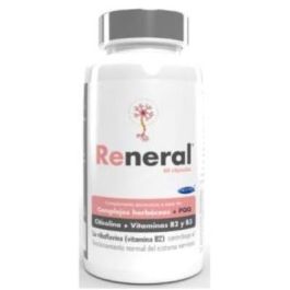 MARGAN Reneral 60 Cápsulas con PQQ, Vitaminas B2 y B3, Citicolina, Bacopa, Ginkgo, Rhodiola, Cúrcuma y Melena de León para el Sistema Nervioso Precio: 58.4999998. SKU: B14MPVR25F