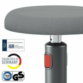 Taburete Ergonómico Leitz Ergo Cosy Active Plástico