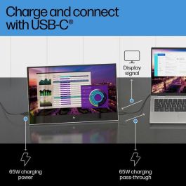 HP E14 G4 Monitor Portátil con Conexión USB-C, Pantalla Extra Brillante y Soporte Abatible para Máxima Productividad y Trabajo Flexible