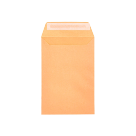 Liderpapel Bolsa N.0 Cel Caña Sobres Salarios 100x145mm Tira Silicona Caja 1000 Unidades