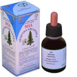 Msa Sequoia Gigantea 50Ml. Precio: 17.5000001. SKU: B1F7S7JPJW