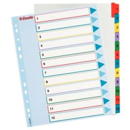 Indice Esselte Cartulina Mylar Borrable Numerico A4+ Pestañas 1-12 11 Taladros Precio: 5.80074. SKU: B13645EJCG