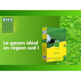 BHS Césped Kikuyu BHS3366671900856 300g | 25 m² | Zonas Mediterráneas | Resistente al Calor Intenso y al Pisoteo