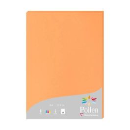 Papel Clairefontaine Pollen A4 210G 25H Clementina Precio: 11.49999972. SKU: B1B9W2NHN9