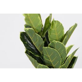 DKD Home Decor Planta Verde 40 x 40 x 120 cm