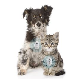 Antiparásitos por Ultrasonidos Recargable para Mascotas PetRep InnovaGoods Antiparásitos por Ultrasonidos Recargable para Mascotas PetRep InnovaGoods