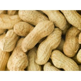 Comida para pájaros Deli Nature Premium 1,6 kg