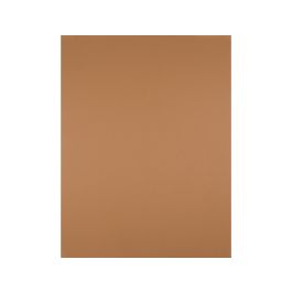 Cartulina Liderpapel 50x65 cm 240 gr-M2 Marron Escolar Paquete De 25 Hojas