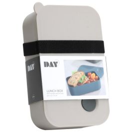 Day Fiambrera 1 L con Divisor Móvil, Válvula de Aire y Banda Elástica para Cierre, Apta Microondas y Lavavajillas, Plástico 19x12x6 cm