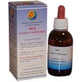 Msa Ulmus Capestris Yemas Olmo 50Ml. Precio: 17.5000001. SKU: B123NTH4GW