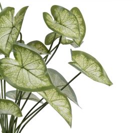 Rama Singonio Verde "Pvc" 36 X 38 X 48 cm