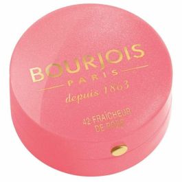 Colorete Little Round Bourjois Precio: 9.5000004. SKU: S0557104