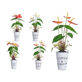 Planta Lirio Bote Metal Surtidos Ibergarden 15X34CM (12 Unidades) Precio: 29.58999945. SKU: B1CGXWAJ4M