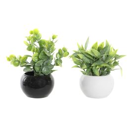DKD Home Decor Planta Scandi Blanco Negro 12 x 15 x 12 cm (12 Unidades) Precio: 28.49999999. SKU: B1GGAHYW5G