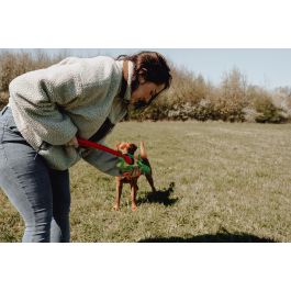 Toy Dog Flingerz Funki Cricket With Launcher