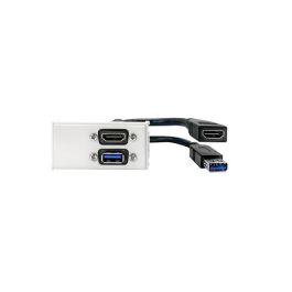 Vivolink Conector de Pared HDMI + USB 3.0 Thorsmann para Aulas y Salas de Reuniones
