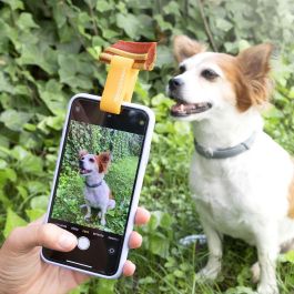Clip de Selfies para Mascotas Pefie InnovaGoods Clip de Selfies para Mascotas Pefie InnovaGoods Precio: 3.50000002. SKU: V0103357