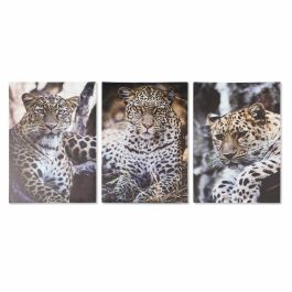 Cuadro Colonial DKD Home Decor Multicolor 1.8 x 70 x 50 cm (3 Unidades) Precio: 13.50000025. SKU: B1AGSB49LD