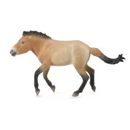 Semental Przewalski -Xl- 88602 Collecta Precio: 8.954. SKU: B19JTKAZAF