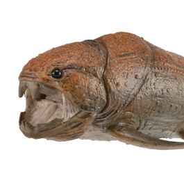 Dunkleosteus Con Mandibula Movil - Deluxe 1:20 - 88817 - Col