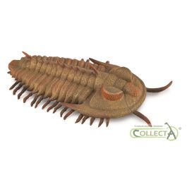 Trilobita- L - 88906 - Collecta Precio: 6.9575. SKU: B14BER7TV4