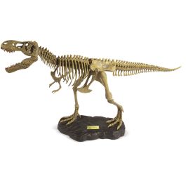 Kit Esqueleto Tyrannosaurus Rex 1:15 - Dr Precio: 29.9596. SKU: B1KJCRB5D5