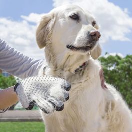 Guante para Cepillar y Masajear Mascotas Relpet InnovaGoods Precio: 3.50000002. SKU: V0101053