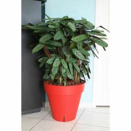 Maceta Riviera Rojo Polipropileno Plástico Redondo Bola Ø 50 cm