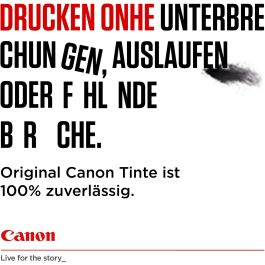 Canon 3712C012 Tinta PG-560XL/CL-561XL Multipack (2 Negro/Color) XL con Papel Fotográfico para PIXMA TS5350, TS7450