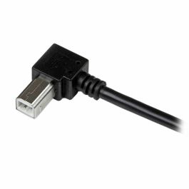 Cable USB A a USB B Startech USBAB1MR Negro