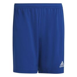Pantalón de Entrenamiento de Fútbol para Adultos Adidas Ent22 Azul XL Precio: 17.5000001. SKU: B18MGH8762