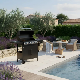 Cookingbox Paarl 9760185 Barbacoa de Gas, 4 Quemadores, Superficie 60 x 42 cm, con Parrilla Calentadora, Acero