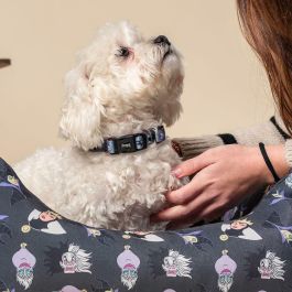 Collar premium para perros m/l disney villanas t4m:m/l Collar premium para perros m/l disney villanas t4m:m/l